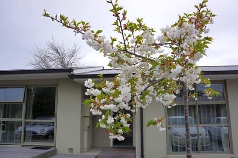 Tower Junction Motor Lodge- Motel With Airport And Railway Station Shuttle Service Christchurch Extérieur photo